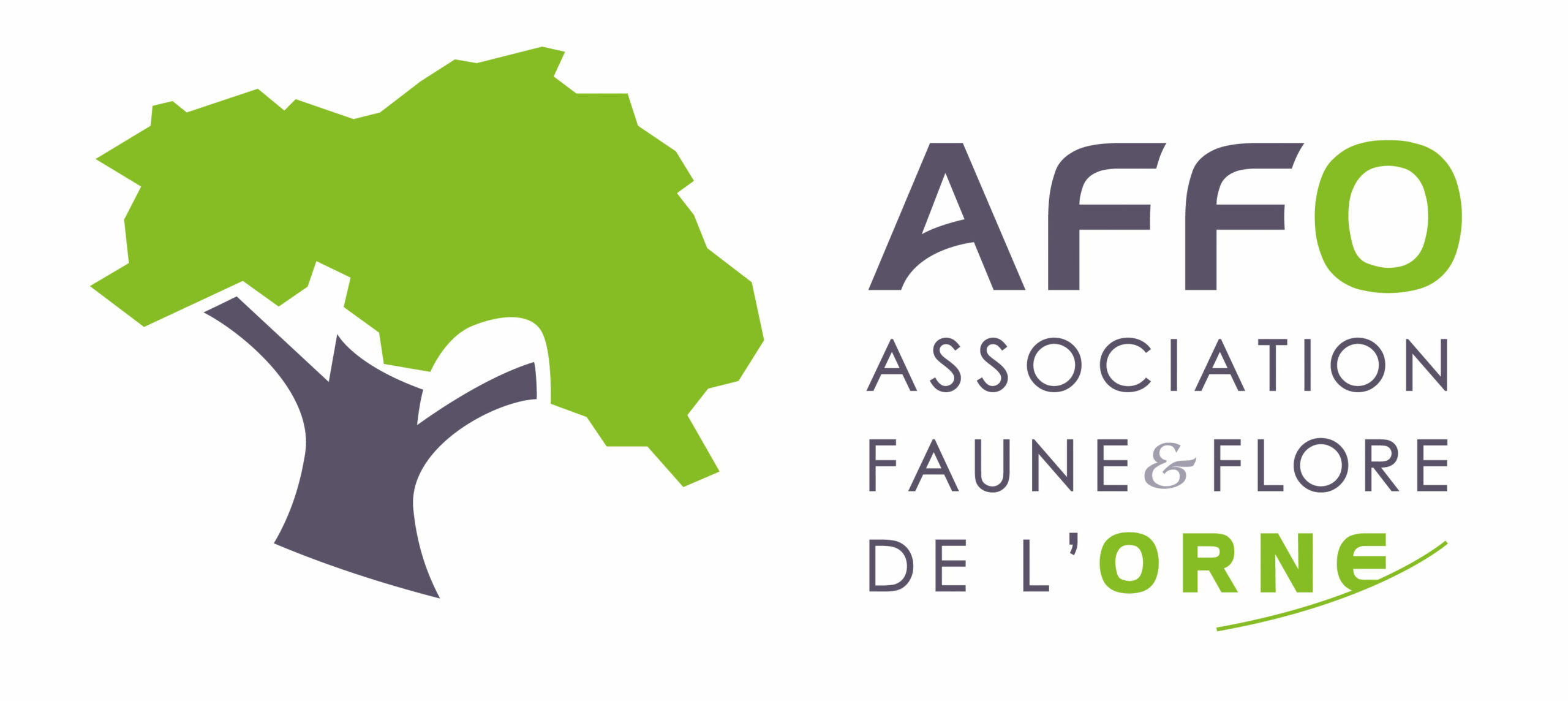 AFFO